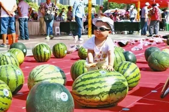 每日大亂斗吃瓜大賽,一場全民狂歡的視覺盛宴