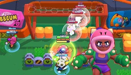 每日大亂斗吃瓜大賽,一場全民狂歡的視覺盛宴